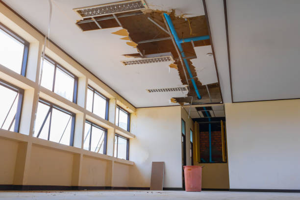 Best Water damage contractors near me  in Hemphill, TX