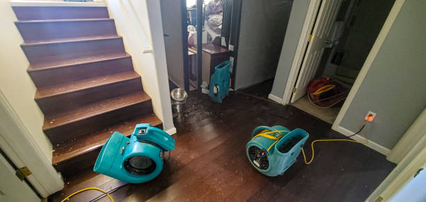  Hemphill, TX Water damage restoration Pros