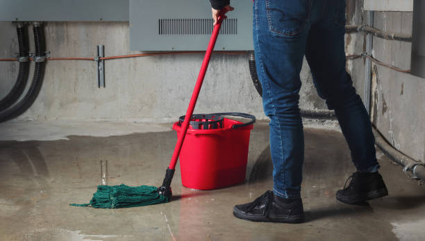 Trusted Hemphill, TX Water damage restoration Experts