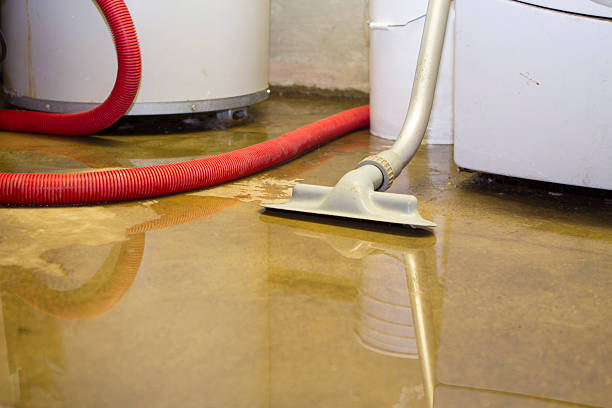 Best Professional water damage repair  in Hemphill, TX