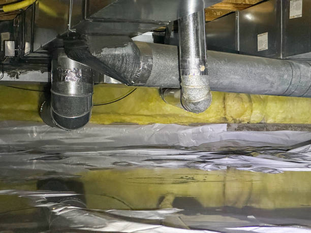 Best Ceiling water damage repair  in Hemphill, TX