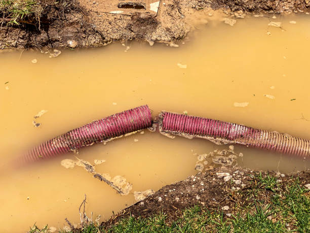 Best Water damage restoration experts  in Hemphill, TX