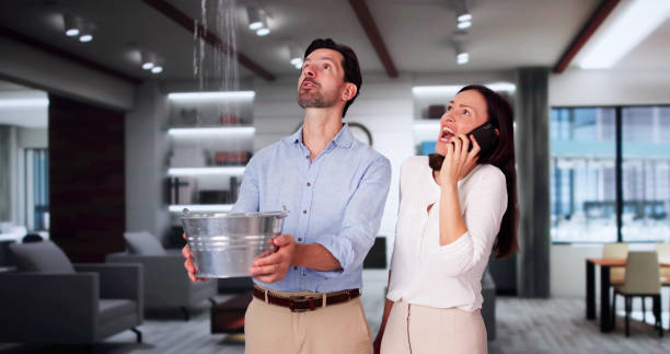 Best Water damage contractors near me  in Hemphill, TX